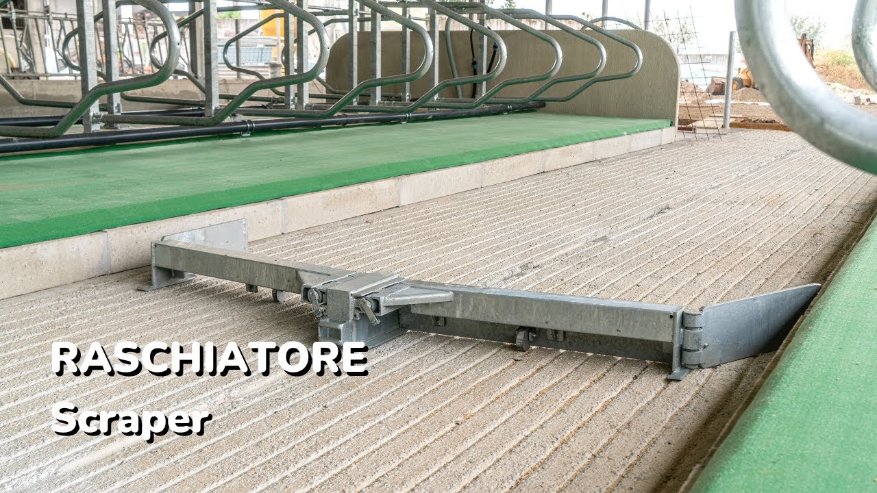 SCRAPER (Raschiatore)