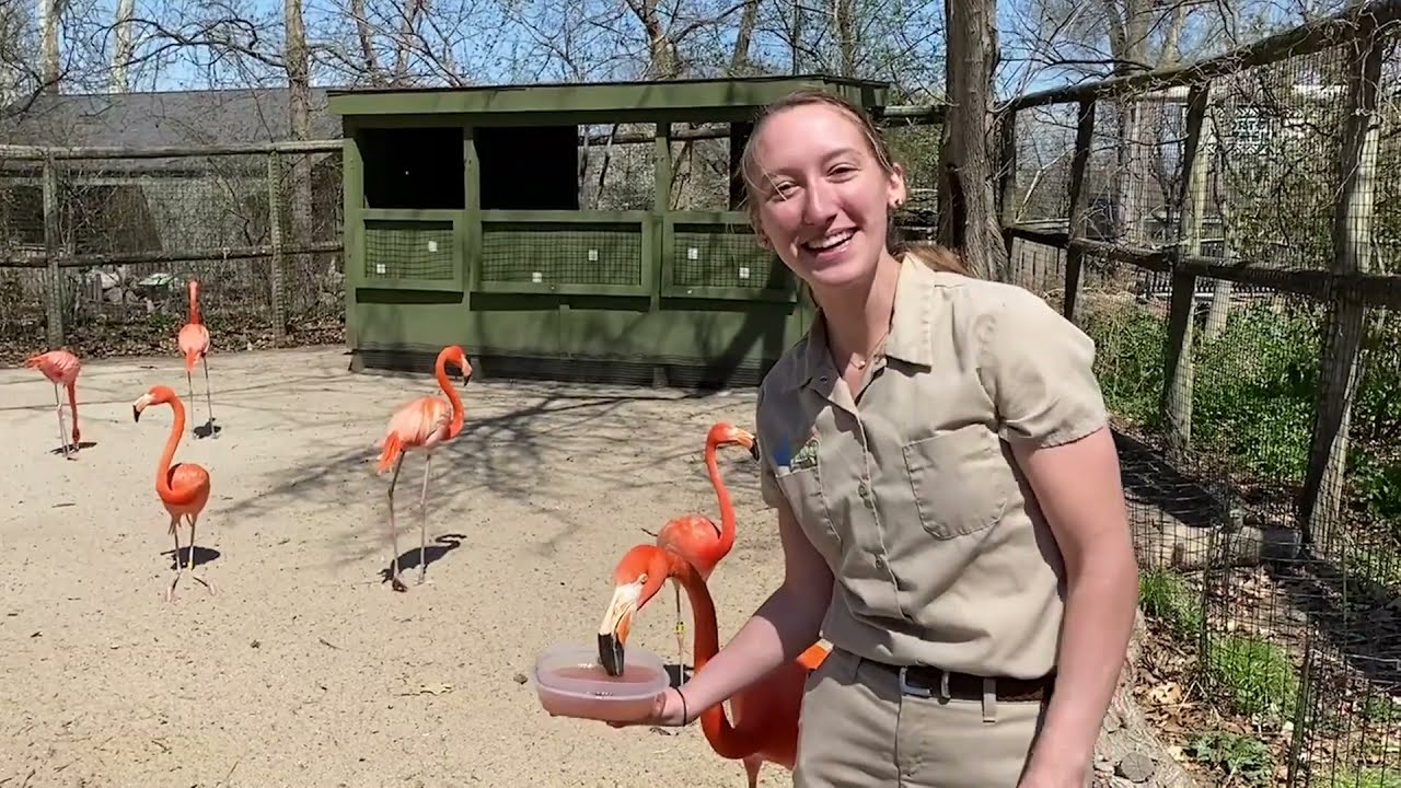Lincoln Children's Zoo Keeper Corner - Lincoln Children's Zoo Keeper Corner
