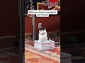 Never not working #cats #cat #catlovers #catlover #catsofinstagram