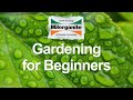 Gardening for Beginners