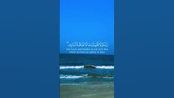#اكسبلور #المصحف #بسم_الله_الرحمن_الرحيم #القرآن_الكريم #راحة_نفسية #سورة_البقرة #حالات_واتس