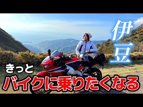 MIISA(みーさ)🥩🍜 - YouTube