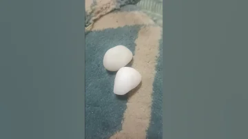 احجار الياقوت الخام ابيض 