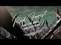 D Folt Feat Marcie Red Forest Eddie Sender Remix 