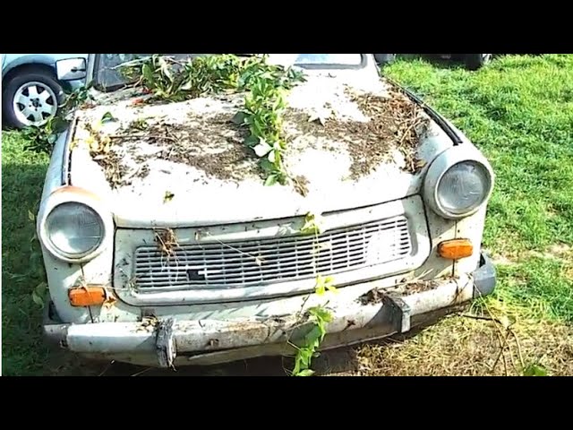 Kaltstart Trabant 601 Greta Fanatiker schauen sich das Video besser nicht  an Cold start Trabant 