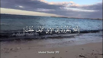 القارئ عبدالرحمن مسعد ( أَفَلا يَنظُرُونَ إِلَى الإِبِلِ كَيْفَ خُلِقَتْ) سورةالغاشيه