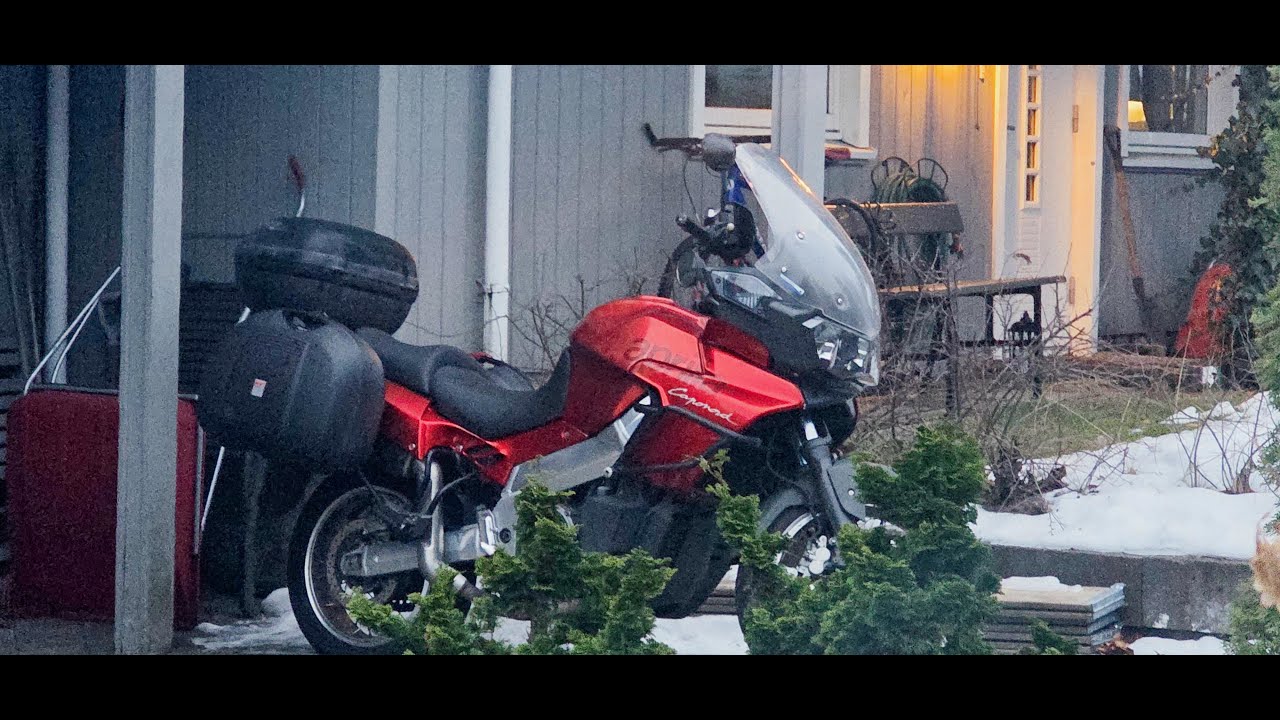 Biff og Chilli på tur til Stavern for å hente sykkel og besøke Minnehallen