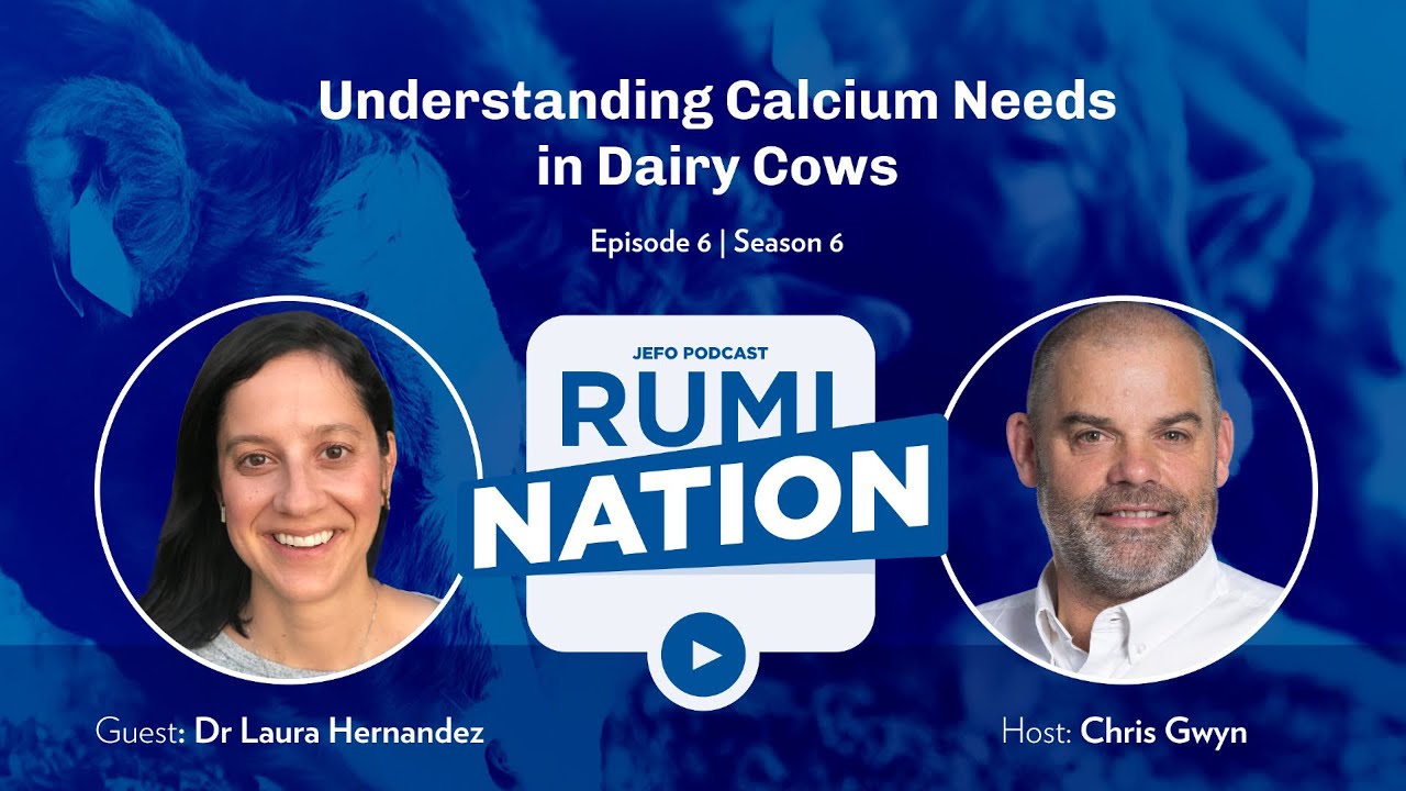S6E6 | Understanding Calcium Needs in Dairy Cows with Dr. Laura Hernandez
