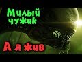 Из пуза вылез чужой? - Alien isolation вот он Эпик