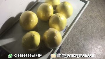 Grapefruit Shrink Wrap Machine