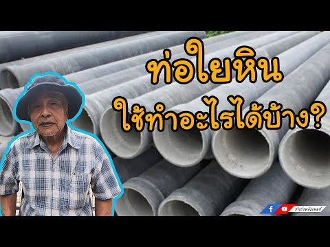 วีดีโอ: การผสมพันธุ์ม้า: ชนิด การเตรียมการ จังหวะเวลา ม้าผสมพันธุ์และผสมพันธุ์