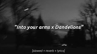 Into Your Arms x Dandelions [𝙎𝙡𝙤𝙬𝙚𝙙   𝙍𝙚𝙫𝙚𝙧𝙗   𝙇𝙮𝙧𝙞𝙘𝙨]