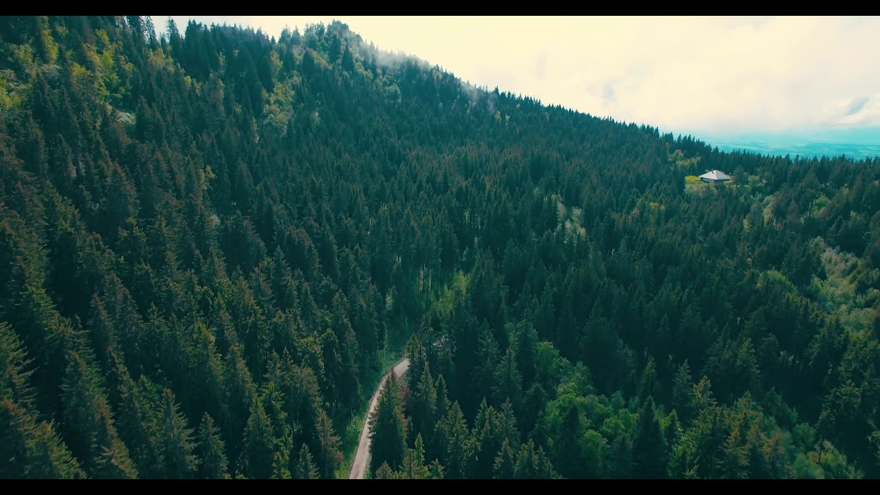 How to fly a drone over a Tropical forest