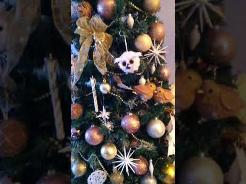 Vídeo: Onde Colocar Uma árvore De Natal Feng Shui