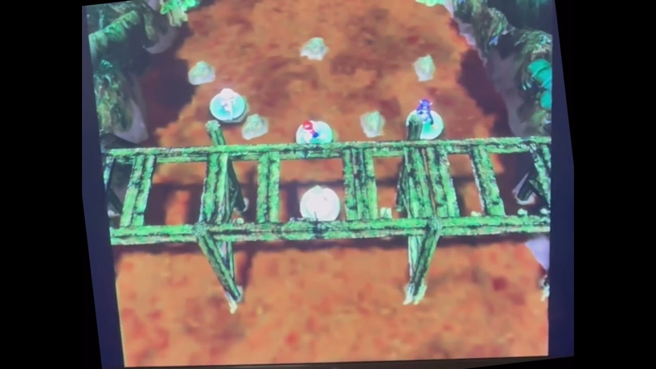 Mario Party 8- Rudder Madness