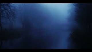 Willix - Blue pool