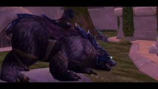 Famous Blizzard Hates Gnomes Profile