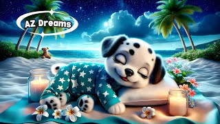 Piano Melody to Sleep and Calm Stress 🎹 🐶 Healing Music | AZ Dreams by AZ Dreams 6,769 views 9 days ago 1 hour, 1 minute