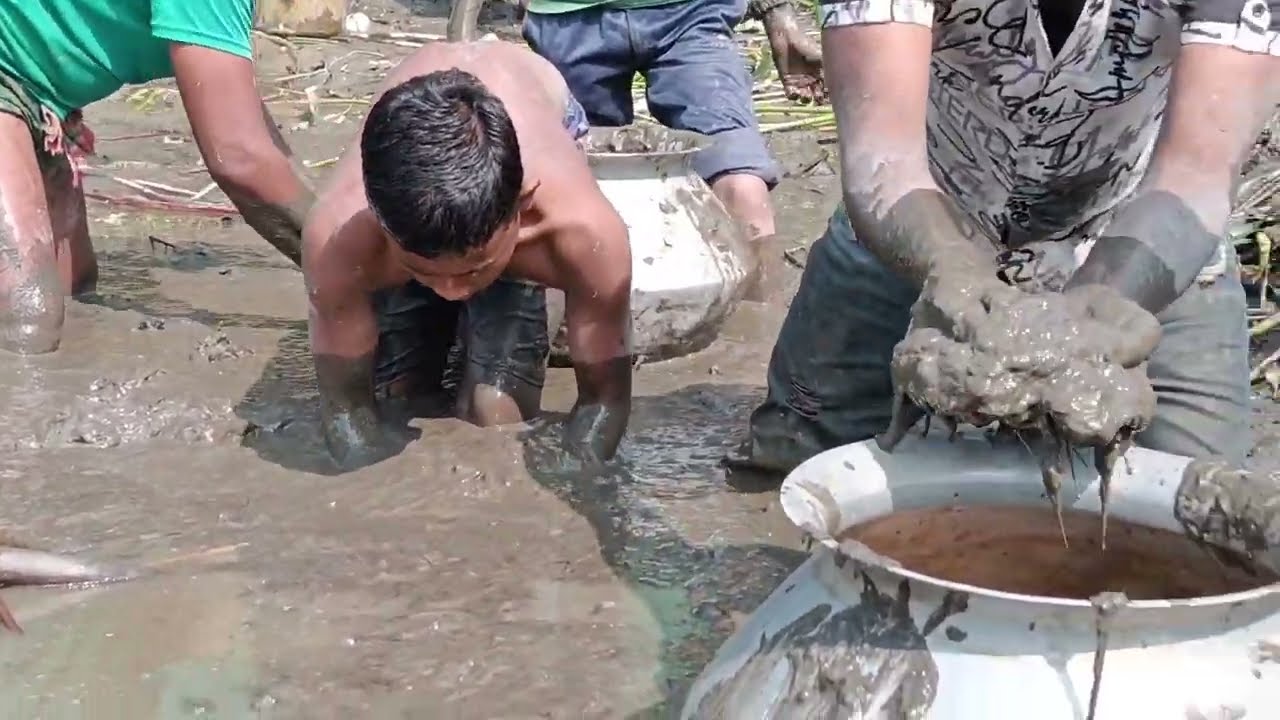 The price of this fish is 10 lakh rupees.#hindisong