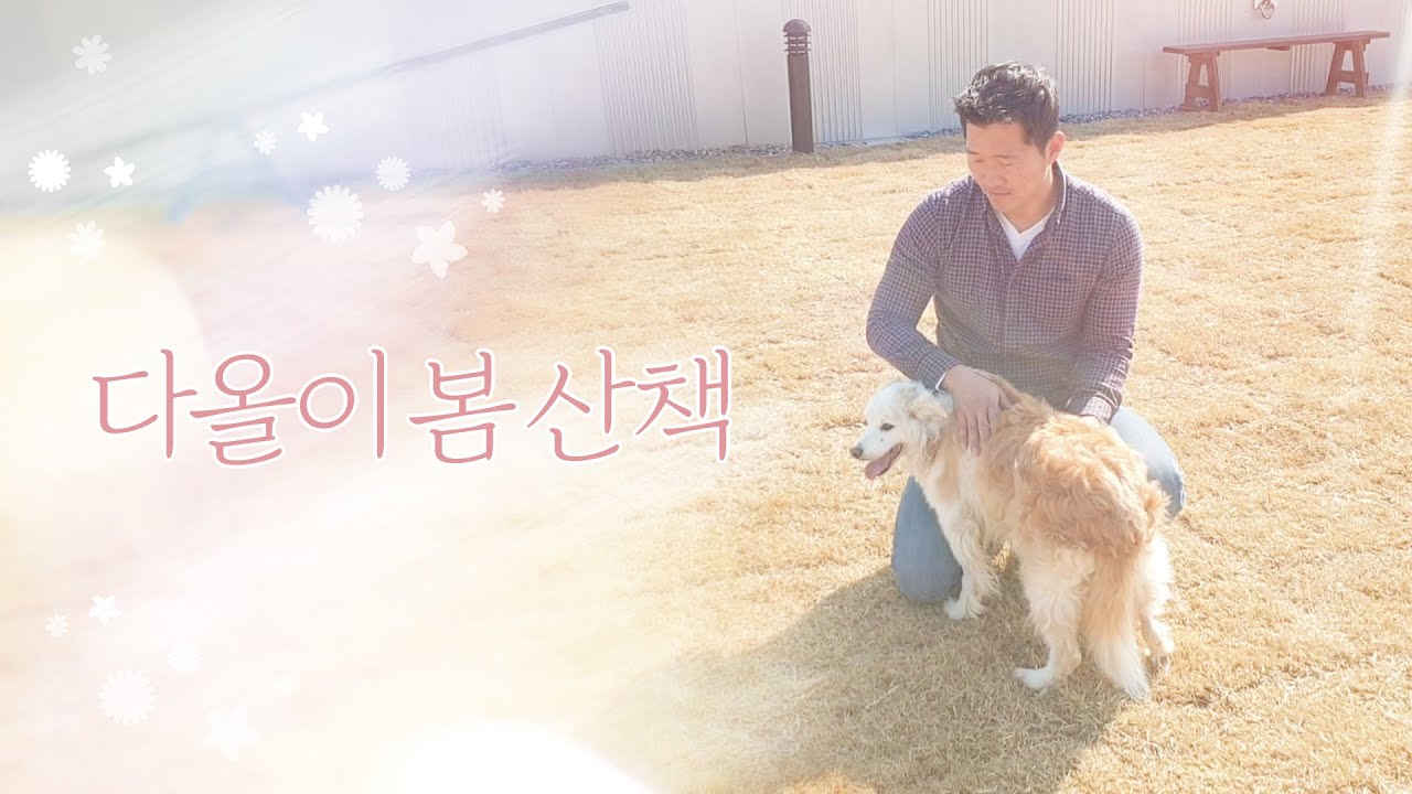 다올이 봄 산책
