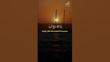 سورة الطلاق ومن يتق الله يجعل له مخرجا سعود الشريم