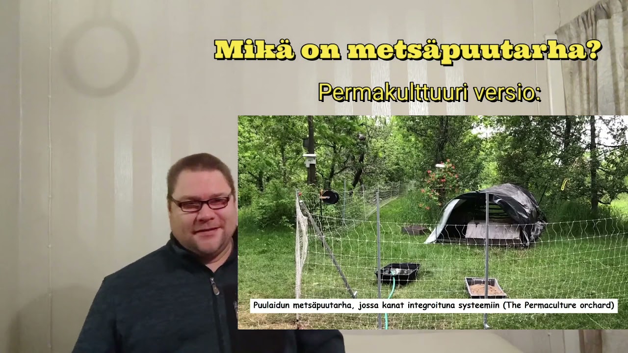 Mikä on metsäpuutarha?