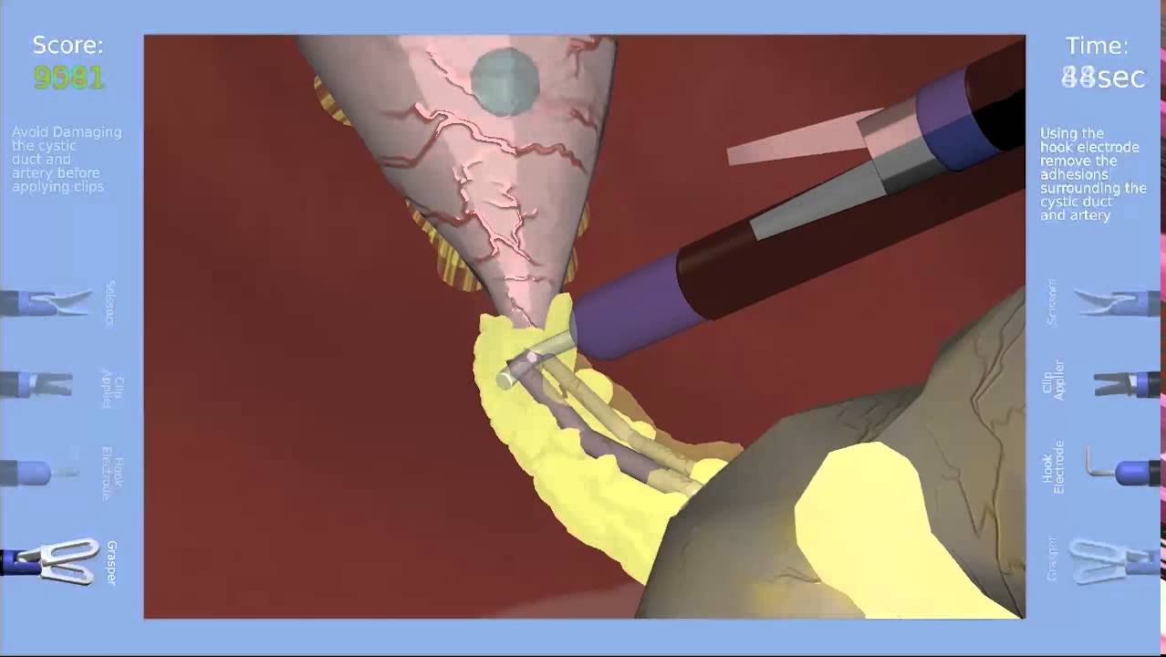 SinaSim Laparoscopic Surgery Trainer - Overview