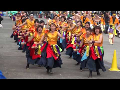 聯／流し／真鶴よさこい大漁フェスティバル2015