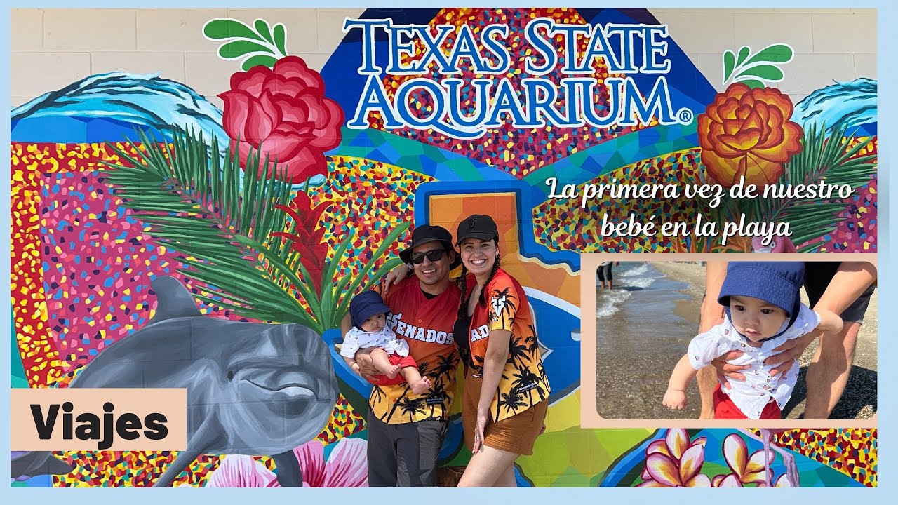 El acuario más grande de Texas