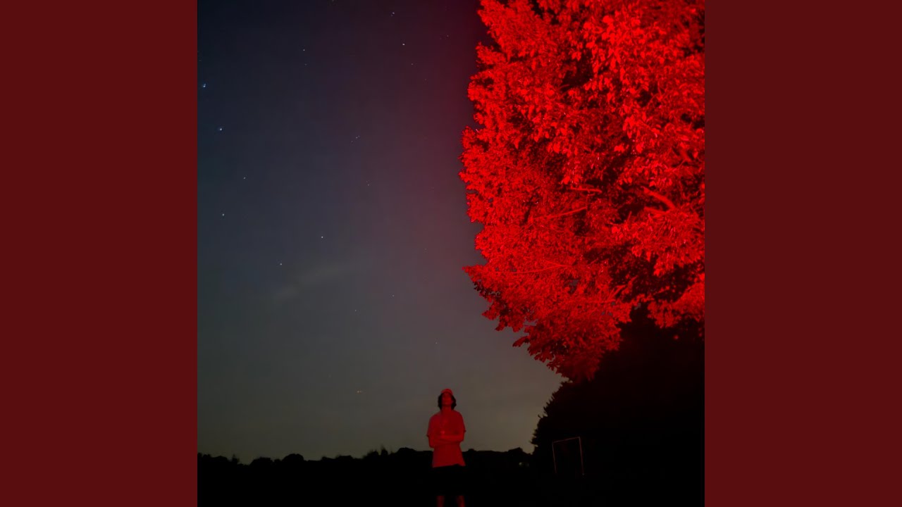 arms, legs, gut, face