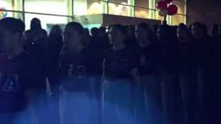 LTA Delta Zeta Chapter Spring 2013 Coming Out Show - Line Salute