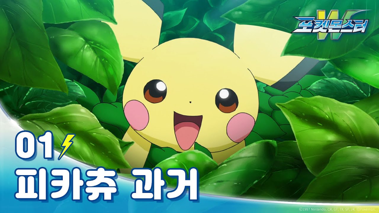 지우를 만나기 전 ⚡️피카츄⚡️의 과거 (feat. 피츄시절)｜포켓몬스터W｜1화 하이라이트｜투니버스