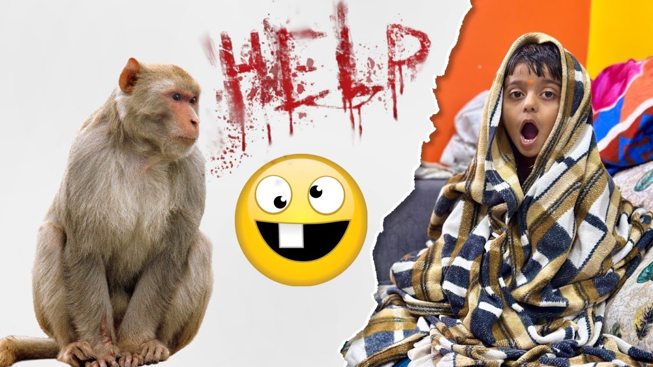 माकडाला पाहून माऊली लपून बसला 🫢