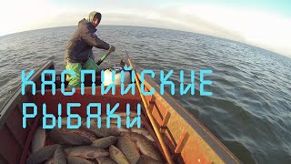 Дагестан. Каспийские рыбаки. Рыбный промысел.