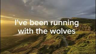 wolves remix version 2 (Duet) (Selena Gomez) (Alexander Stewart)