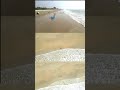 Drone shot - Varca Beach - Goa. #viral #goa #trending #varcabeach
