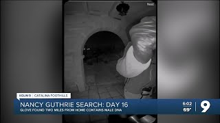 Expert weighs in on DNA found on glove near Nancy Guthrie's home