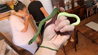 Cat Brings a Snake into the House!