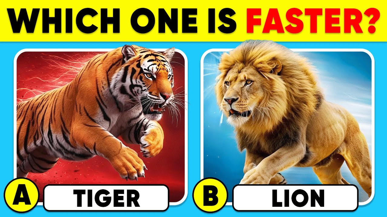 Only Geniuses Can Guess Which Animal Is Faster! 🏆🐯✅ General Knowledge Trivia Quiz