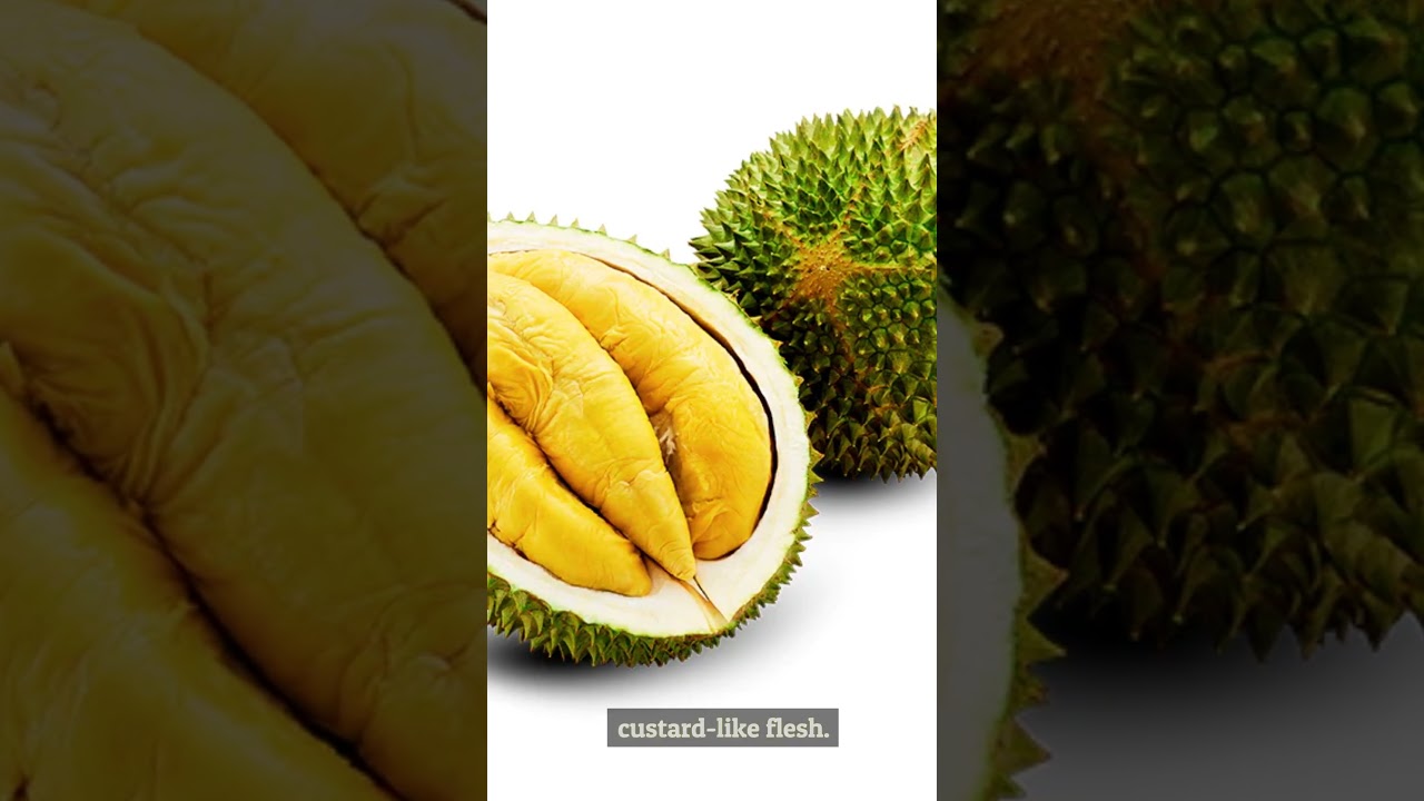 The Strangest Asian Foods, Part 2 