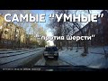 Подборка САМЫХ "УМНЫХ" водителей #596