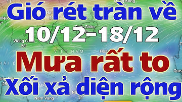 Tin mưa lớn | Dự báo thời tiết mới nhất ngày mai 10/12/2025 | thời tiết 7 ngày tới | tin bão