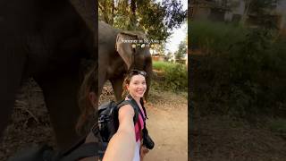 Would You Want To Spend Summer In Se Asia?