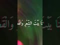 ماذا قال رؤوف خليف عندما سخر الأجانب من العرب