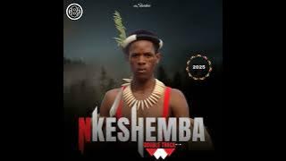 Nkeshemba - Ushaka (Audio)