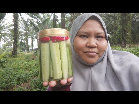 Video: Timun Yang Sedap Dan Sedap. Bahagian 1