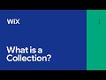 Cms previously content manager what is a collection  cms by wix data