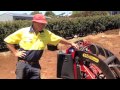 Maleny Dingo Hire, Dingo 950 Mini Loader