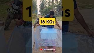 🤩 6 KGs Fish  &amp; 16 KGs Prawns 😋 #reels #viral #video #shorts #shortsfeed #fish #youtubeshorts #fun