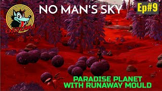 No Man's Sky - My Second Paradise Planet With Curious Deposit With Large Amount Of Runaway Mould